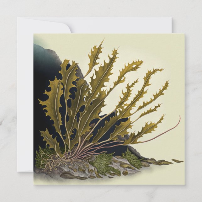 Tidal Fronds Card (Front)