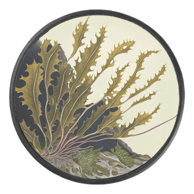 Tidal Fronds Hockey Puck (Front)