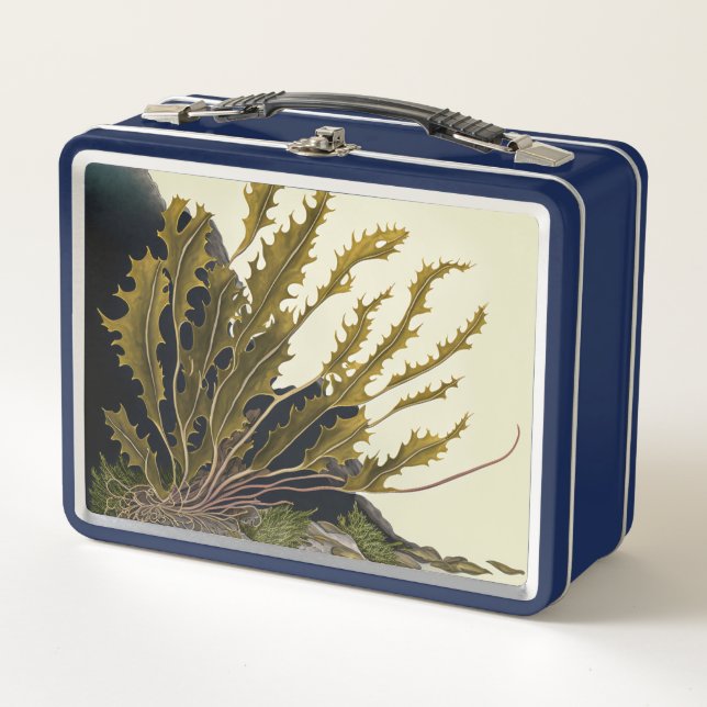 Tidal Fronds Metal Lunch Box (Front)