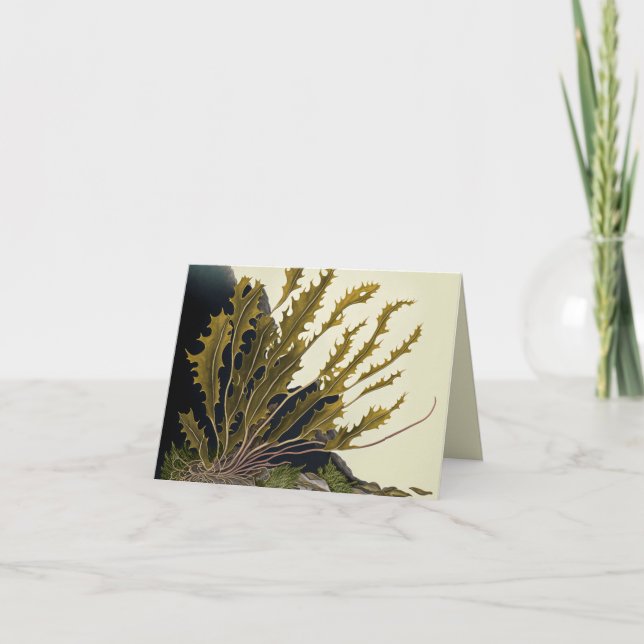 Tidal Fronds Note Card (Front)