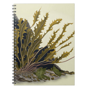 Tidal Fronds Notebook