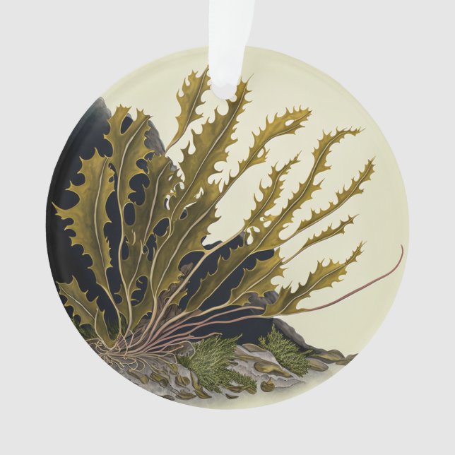 Tidal Fronds Ornament (Front)