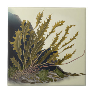 Tidal Fronds Tile