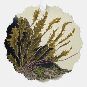 Tidal Fronds Tree Decoration Card