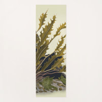 Tidal Fronds