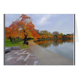 Tidal Pool Fall Colours