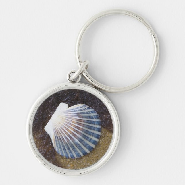 Tidal Pool Key Ring (Front)