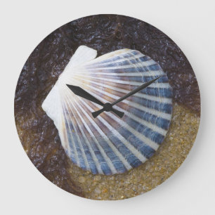 Tidal Pool Large Clock