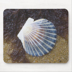 Tidal Pool Mouse Mat