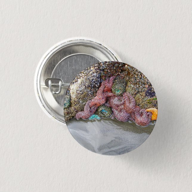 Tidal Pool, Ruby Beach, Olympic National Park 3 Cm Round Badge (Front & Back)