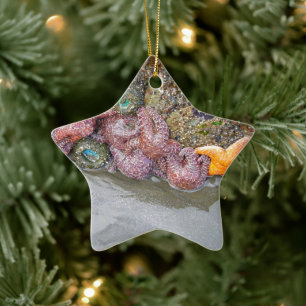 Tidal Pool, Ruby Beach, Olympic National Park Ceramic Tree Decoration