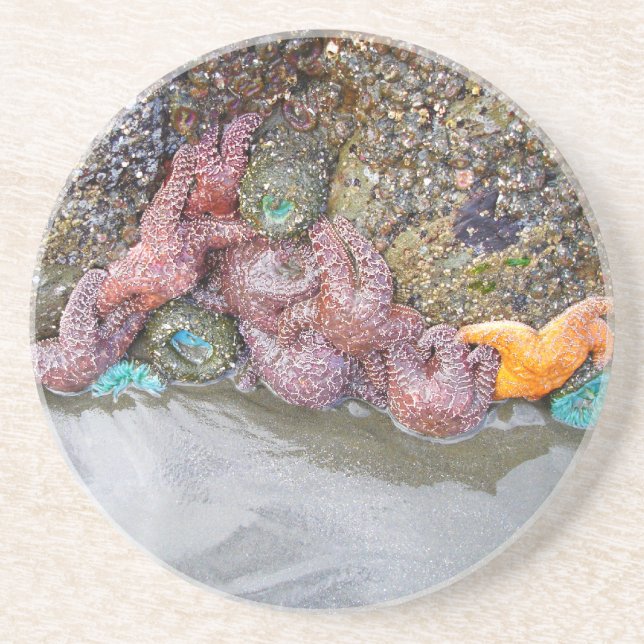 Tidal Pool, Ruby Beach, Olympic National Park Coaster (Front)