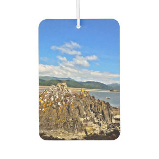 TIDAL RIVER CAR AIR FRESHENER