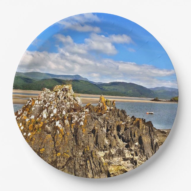 TIDAL RIVER PAPER PLATE (Front)