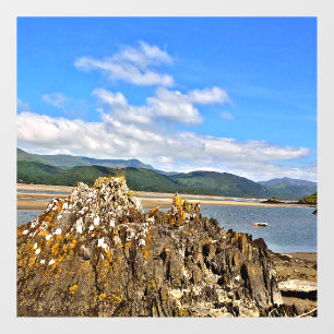 TIDAL RIVER WINDOW CLING