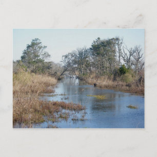 Tidal Wetlands Buxton NC OBX Postcard