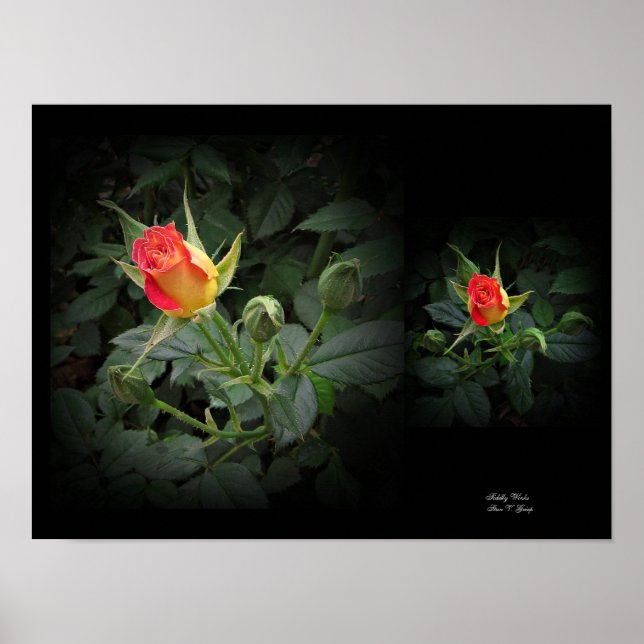 Tiddly Winks Miniature Rose Wall Art by Stan VG (Front)