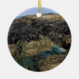 Tide Pools at Bob Creek, OR Ceramic Tree Decoration