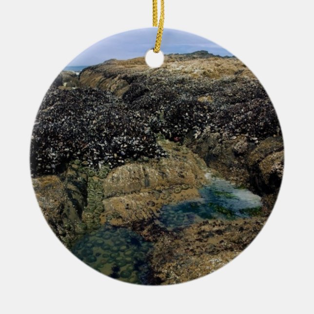 Tide Pools at Bob Creek, OR Ceramic Tree Decoration (Front)