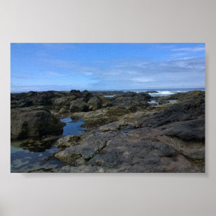 Tide Pools at Bob Creek, OR Poster