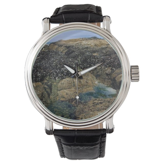 Tide Pools at Bob Creek, OR Watch (Front)