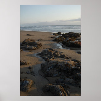 tide pools empty poster