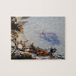 Tidepool at Sand Beach Jigsaw Puzzle