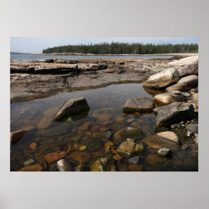 Tidepool at Wonderland in Acadia National Park Poster