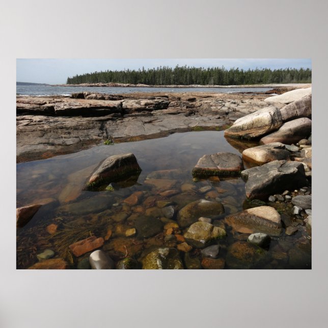 Tidepool at Wonderland in Acadia National Park Poster (Front)