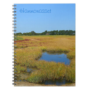 Tidepool Marsh Notebook