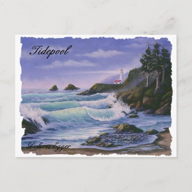 Tidepool Postcard (Front)