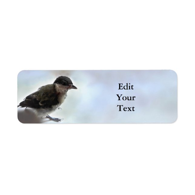 Tidi my Bird the Parus Major (Front)