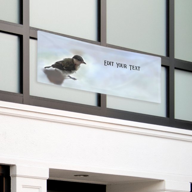 Tidi my Bird the Parus Major Banner (Outside Building)