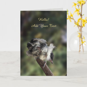 Tidi my Bird the Parus Major Card