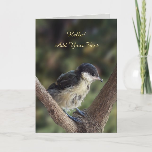 Tidi my Bird the Parus Major Card (Front)