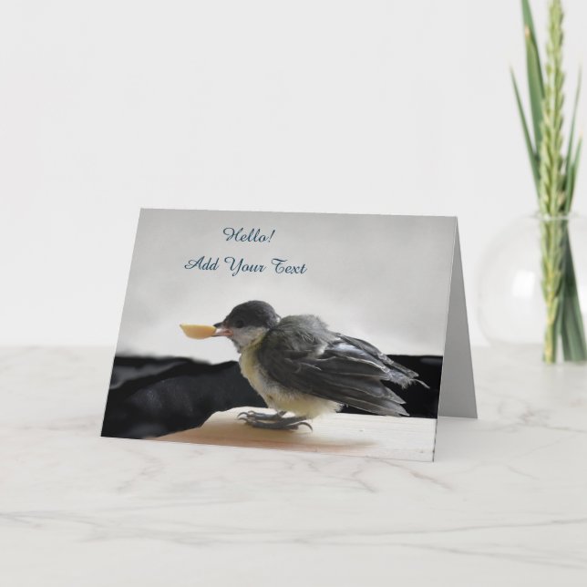 Tidi my Bird the Parus Major Card (Front)