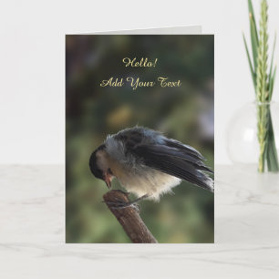 Tidi my Bird the Parus Major Card