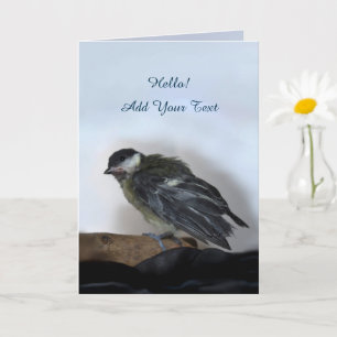 Tidi my Bird the Parus Major Card