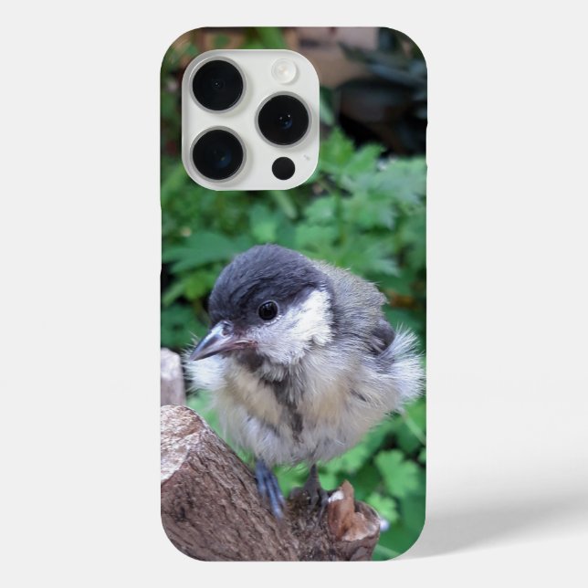 Tidi my Bird the Parus Major Case-Mate iPhone Case (Back)