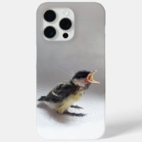 Tidi my Bird the Parus Major