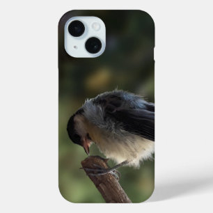 Tidi my Bird the Parus Major iPhone 15 Case