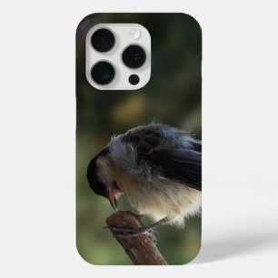 Tidi my Bird the Parus Major iPhone 15 Pro Case