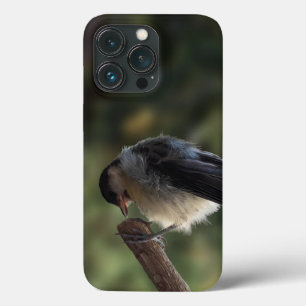Tidi my Bird the Parus Major iPhone 13 Pro Case