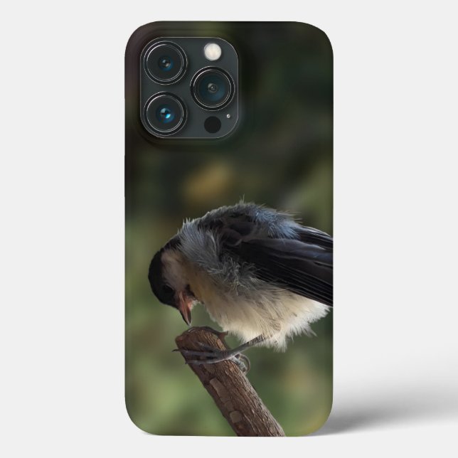 Tidi my Bird the Parus Major Case-Mate iPhone Case (Back)