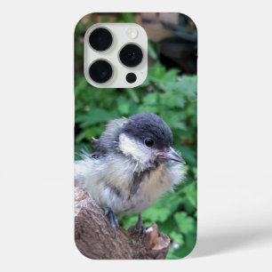 Tidi my Bird the Parus Major iPhone 15 Pro Case
