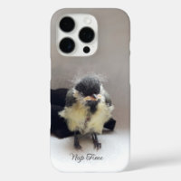 Tidi my Bird the Parus Major