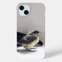 Tidi my Bird the Parus Major
