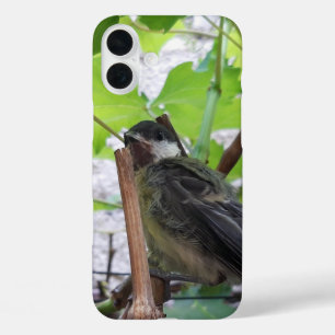 Tidi my Bird the Parus Major iPhone 16 Plus Case