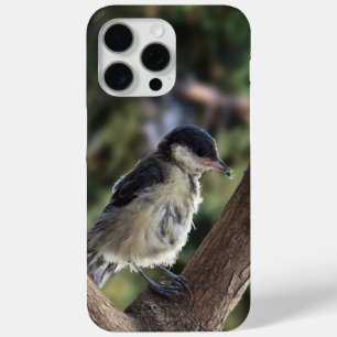 Tidi my Bird the Parus Major iPhone 15 Pro Max Case
