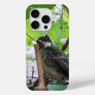 Tidi my Bird the Parus Major iPhone 15 Pro Case